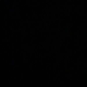 Meet your Posher, Cesar